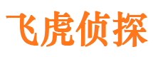 铁山市调查公司